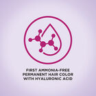 CHI Ionic Try Me Kit - Red and Copper, , large image number null